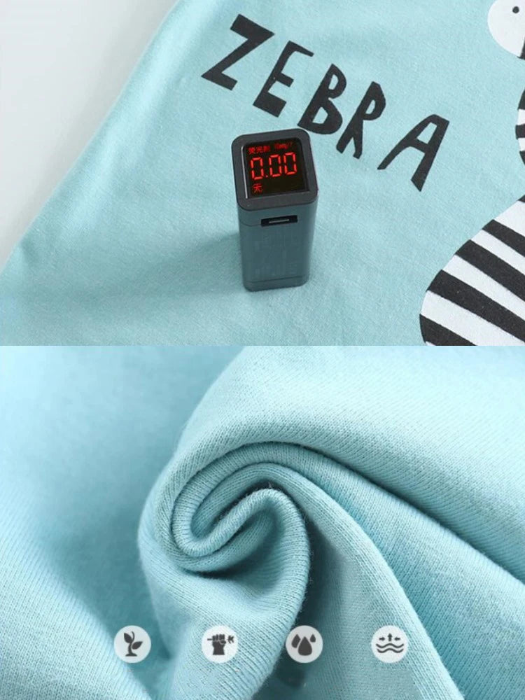 Conjunto Infantil Masculino Zebra